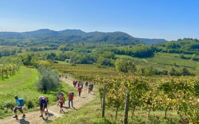 Trail Angels beim Alpe-Adria-Trail Wandertag