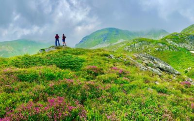 High Scardus TrailDer erste Eindruck vor Ort