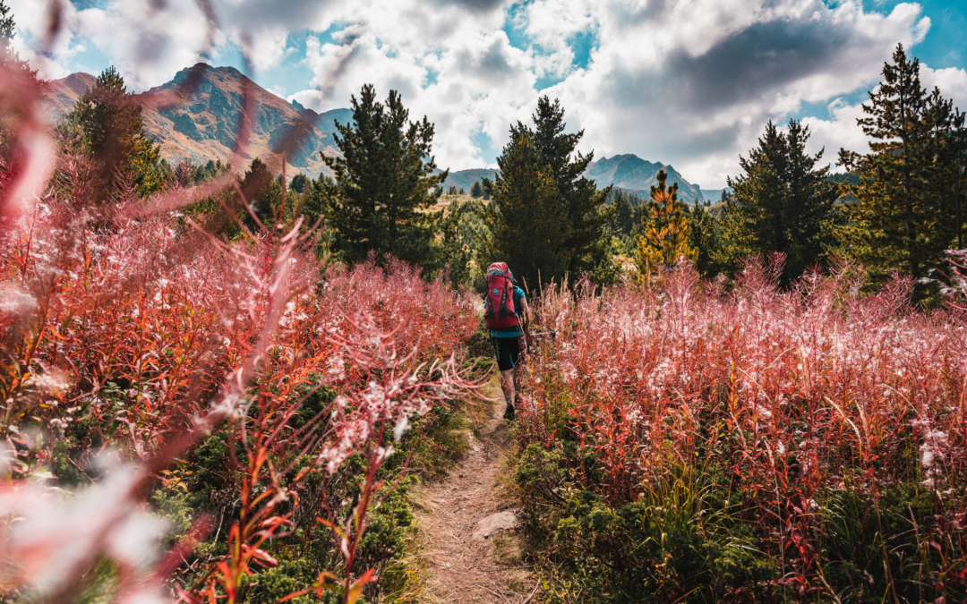 High Scardus Trail – Trail Scouting, Eindrücke und Erinnerungen fürs Leben