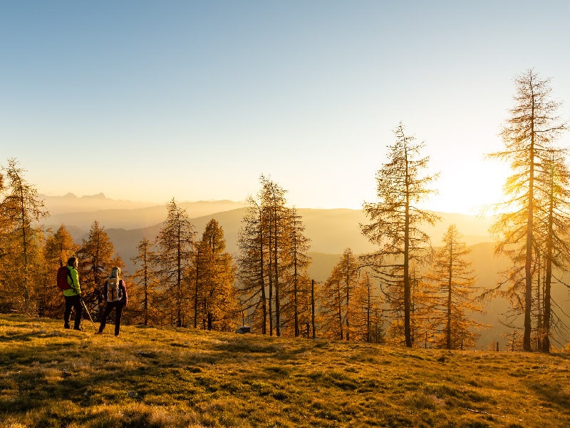 Goldener Wanderherbst