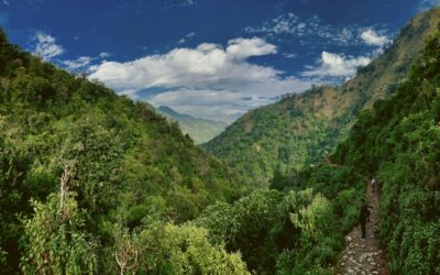 Live from the Himalayas (2): Fair Trails Explor­ation