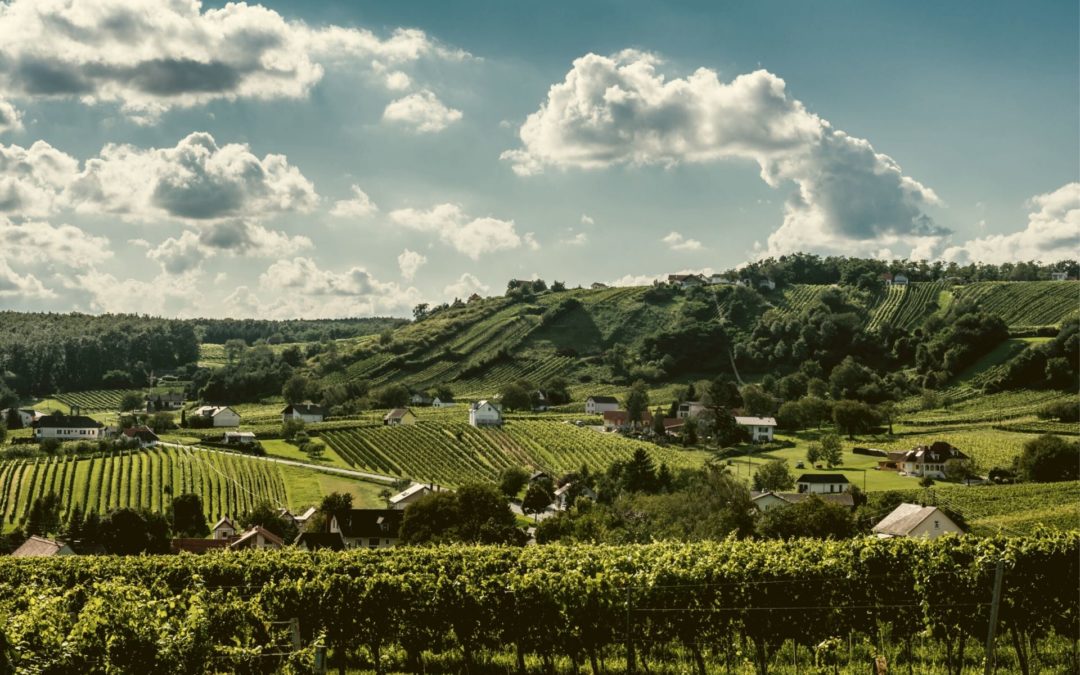 Bernstein Trail – Wein und Wandern