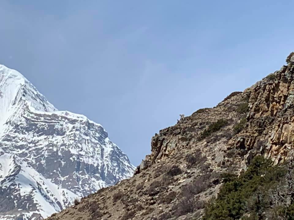 Blog_LiveausdenHimalayas01 Panoramaweg Südalpen Panorama am Hochplateau