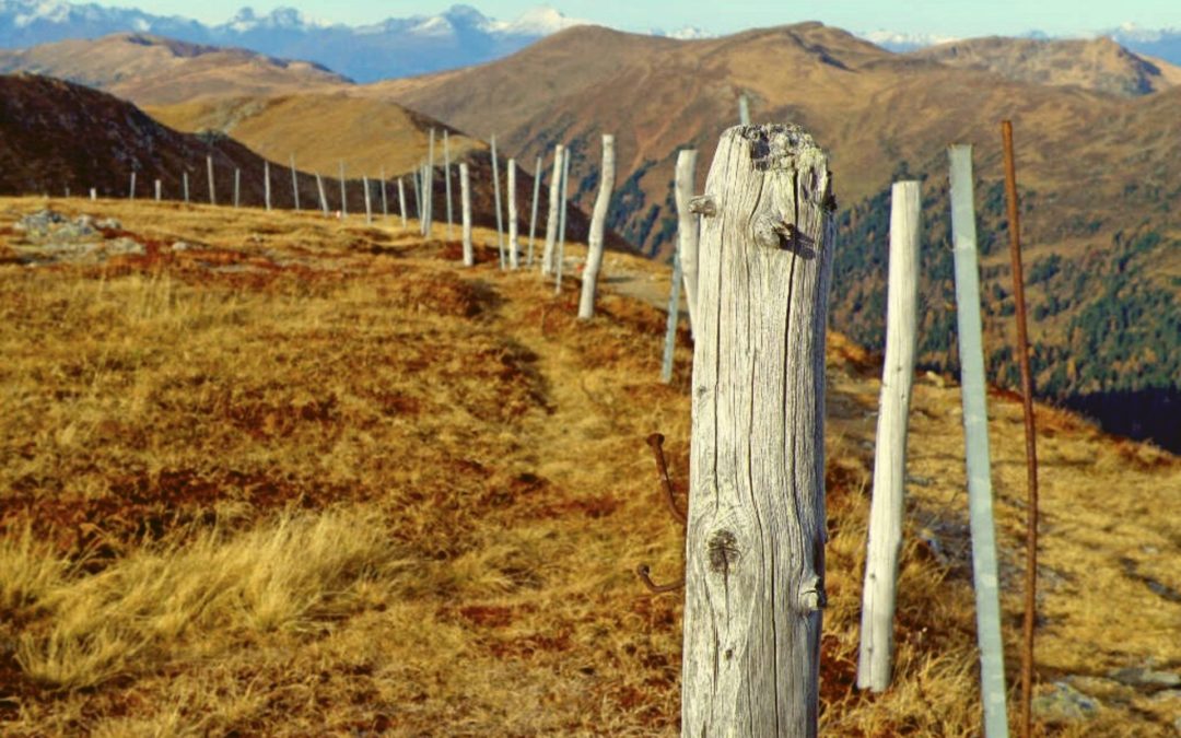 Wandern im goldenen Herbst am Nockberge-Trail