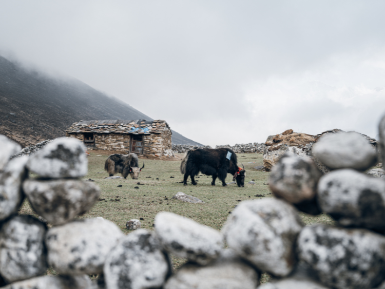 Thorong-La