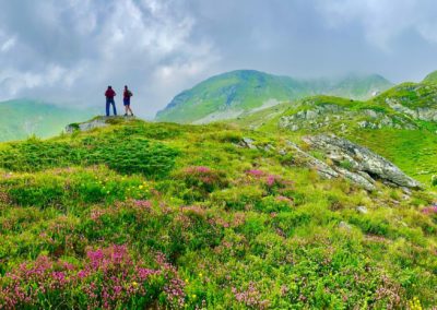 High Scardus Trail