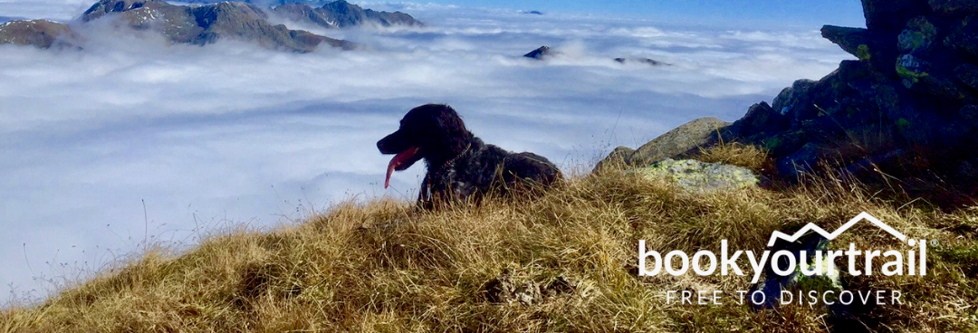 Wandern mit Hund am Alpe-Adria-Trail