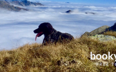 Hiking with your dog on the Alpe-Adria-Trail
