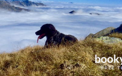 Wandern mit Hund am Alpe-Adria-Trail