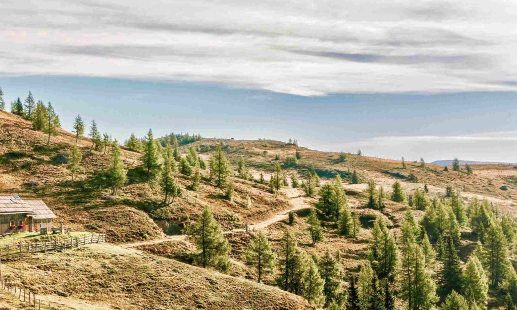 Nockberge-Trail im Sommer