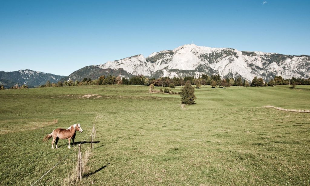 WAS_Projekte_DobratschRundww Header Panoramaweg Südalpen Panorama am Hochplateau
