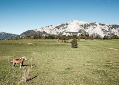 Dobratsch Rund­wanderweg