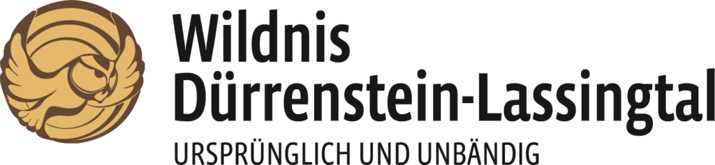 wildnisgebiet-duerrenstein